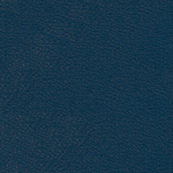 Deep blue nappa leather texture with a consistent, pebbled grain and slight sheen, shown against a neutral background.