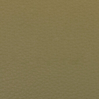 Olive green premium nappa leather texture with subtle interwoven grain, matte finish, and diffused lighting, identified as Bontempi PR18.