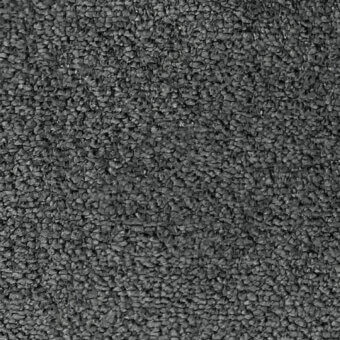 BEAR - 605