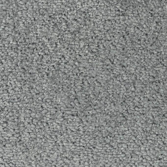 BEAR - 611