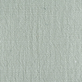 Pale gray-green fabric sample displays a dense, granular texture with small rounded elements; identified as Borzalino Suvereto g307.