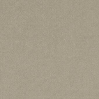 Taupe velvet fabric texture, short dense pile, matte finish, uniform nap, warm neutral tone, Borzalino Augusta Velvet – 000 fabric sample.