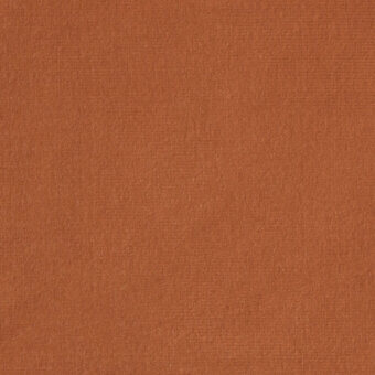 Augusta Velvet fabric sample, terracotta color, dense pile with matte finish, from the borzalino collection, exhibiting a brushed texture.