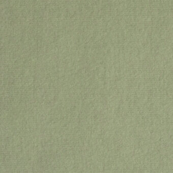 Sage green velvet fabric swatch displaying a consistent, short pile texture and muted tonal variations with a soft, matte finish.