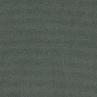 Olive-green velvet fabric sample with a dense, short pile and matte finish; Borzalino Augusta collection label visible at the bottom edge.