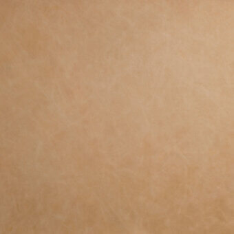 Tan leather texture with mottled pattern and fine striations, displaying a matte, granular surface and subtle shading variations.