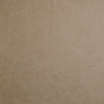 Light tan leather texture sample with mottled surface, grainy appearance, and subtle tortora color; imprinted text reads “borzalino leather (d4) spider – 120 tortora”.