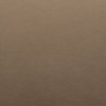 Leather texture sample, vanilla-sand tone, subtle mottled grain pattern, matte finish, soft pliable quality, refined aesthetic.
