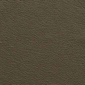 Dark olive-brown pebble-grain leather texture with matte finish, displaying irregular lines and tonal variations; labeled “borzalino prescott – 258”.