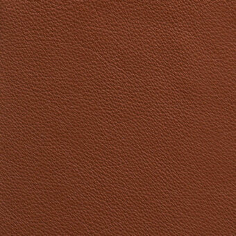 Brown leather texture with dense granulation, irregular pores, and a matte finish; includes text “borzalino > leather (e5) > prescott > prescott – 289”.