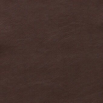 Dark brown leather texture with granular surface, fine pore pattern, and subtle creases suggesting an aged finish; studio lighting.