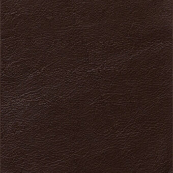 Dark brown leather texture with a pronounced grain, matte finish, and subtle creases; includes text “borzalino > leather (f6) > seta > seta – 32920”.