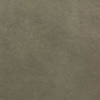 Textured leather surface in rust tone, displaying granular texture and mottled color variations with a distressed, tactile quality.