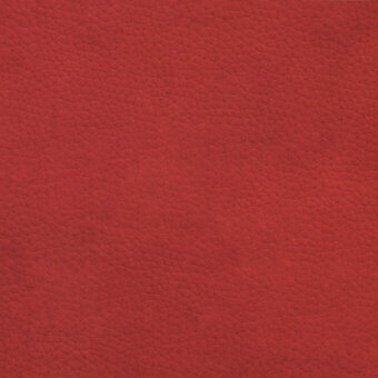 Red leather texture with a granular, pebbled surface and matte finish, displaying a warm terracotta hue and consistent, dense composition.