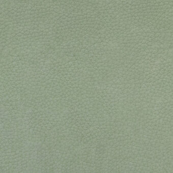 Distressed leather texture, light sage green, with a dense network of irregular bumps and a matte, uniform finish.