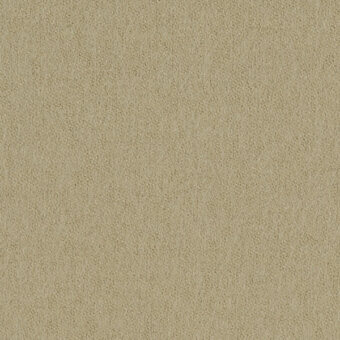 Beige fabric texture sample displaying a consistent, granular surface with subtle tonal variations and a matte finish, labeled “Bross col. 61040”.