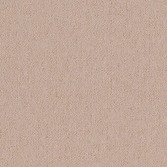 Beige fabric swatch with mottled texture, woven matte finish, and granular surface; label reads "bross > fabric (b) focus > col. 64045".