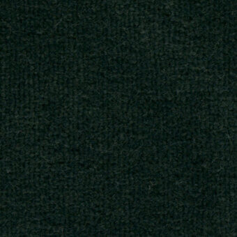 Green looped pile fabric texture, wool blend, nubby surface with tonal variations; Bross Ponza fabric, color 7027.32, on dark gray background.