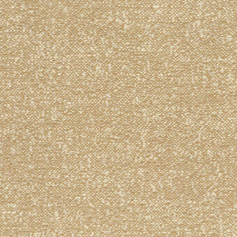 Woven gold fabric texture with irregular dense weave, horizontal & vertical threads, “bross fabric col. 36” text detail.