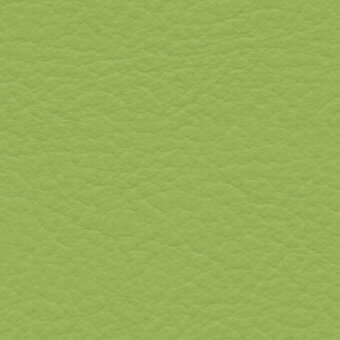 Textured fabric swatch, muted green, pebbled surface; synthetic material with matte finish, sample label visible, neutral background.