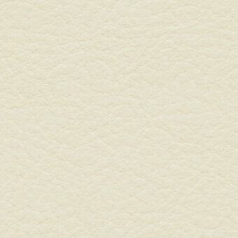 Beige leather-like texture with granular surface, fine lines, and matte finish; imprinted text reads "bross > fabric (std) skill > col."