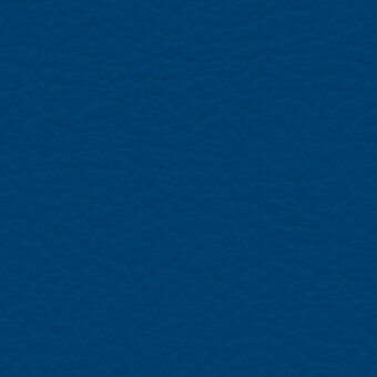 Blue fabric swatch with granular woven texture, displaying slight density variations and a white label reading “bross > fabric (std) skill > col. 21”.