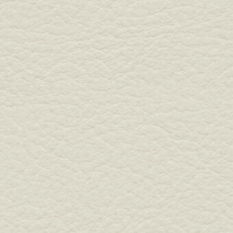 Beige leather texture with a dense, irregular pebbled pattern and matte finish; subtle imprinted text reads “bross > fabric (std) skill > col.”