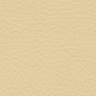 Beige fabric texture with mottled pattern, displaying small indentations and a matte finish; label reads “bross > fabric (std) skill > col.”