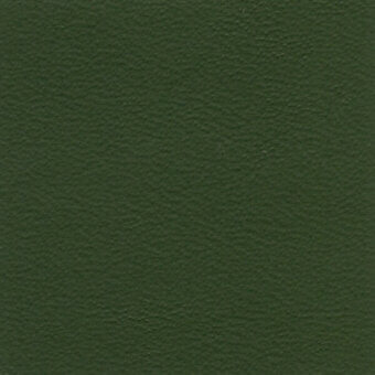 Olive green textured surface with mottled tone, displaying uneven plaster or paper effect; text reads “bross > leather (d) sweet > col. 553”.