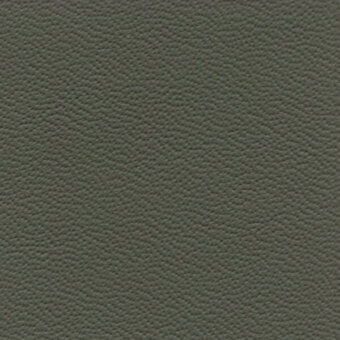 Olive-green leather texture sample with a granular, dotted surface; label reads “bross > leather (d) sweet > col. 567” in sans-serif font.
