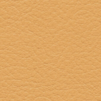 Tan leather texture with a dense, pebbled pattern and consistent warm tone, displaying “bross > leather > col. 210” text detail.