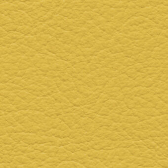 Yellow leather texture with a pebbled grain and warm ochre tone, displaying brand text “bross > leather > col. 215”.