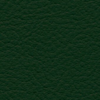 Dark green leather texture with a consistent, pebbled grain and matte finish; natural leather appearance with tonal variations, col. 217.