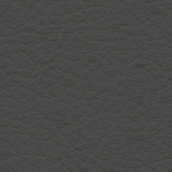 Dark gray leather texture with granulated surface, matte finish, and visible grain; “bross leather col. 220” text in lower right.