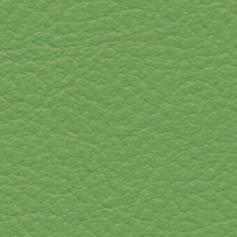 Light green leather texture with a granular, pebbled pattern; matte finish, consistent surface, labeled “bross > leather > col. 223.”