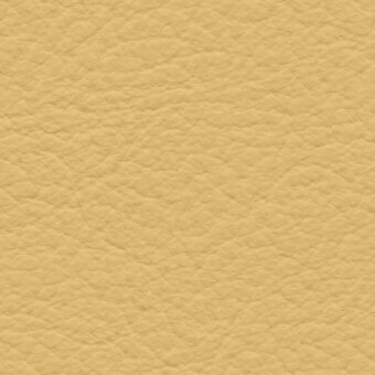 Tan leather texture with irregular grain pattern, matte finish, and subtle wrinkles; color code “col. 225” imprinted in lower right.