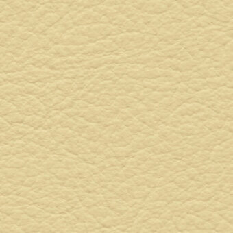 Pale yellow leather texture with a granular, pebbled surface and fine creases; col. 235, studio lighting, muted warm tones.