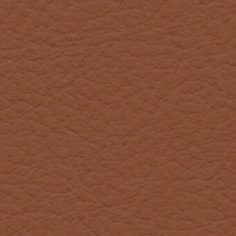 Brown leather texture sample with mottled, irregular patterns and a matte finish, identified as “bross > leather > col. 245.”