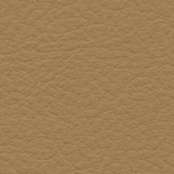 Tan leather texture with mottled surface, fine creases, and matte finish; includes brand text “bross > leather > col. 250”.