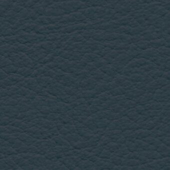 Dark teal leather texture with irregular grain, muted tonal variations, and diffused lighting; brand designation “bross > leather > col. 253”.