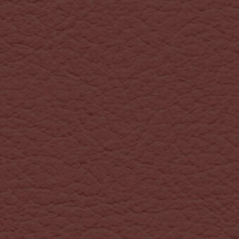 Reddish-brown leather texture with irregular bumps, displaying color code 270; even lighting highlights the stucco-like surface and material.