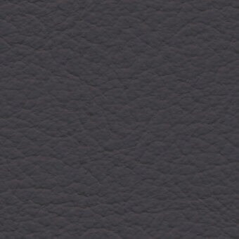 Dark gray leather texture with irregular grain, matte finish, and visible surface bumps; label reads "bross > leather > col. 273".