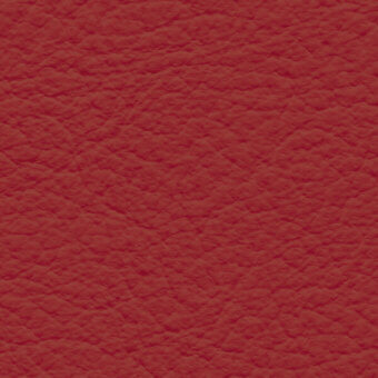 Red leather texture with irregular bumps, labeled “bross > leather > col. 285”, showcasing a saturated, muted tone and consistent surface detail.