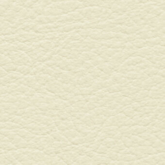 Off-white leather texture with a pebbled grain, subtle sheen, and warm ivory tone; brand text “bross > leather > col. 342” in lower right.