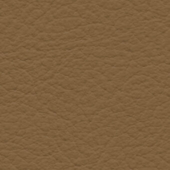 Brown leather texture with mottled bumps, matte finish, and natural grain; studio shot displaying “bross > leather > col. 343” text.