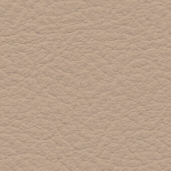 Beige leather texture with a granular, pebbled surface; full-grain material displays subtle creases and a matte finish, labeled “col. 360”.