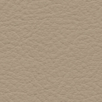 Light beige leather texture with irregular grain, matte finish, and pebbled surface; label reads "bross > leather > col. 365".