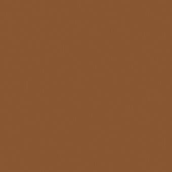 Warm brown color field, matte surface, consistent tone, resembling saddle leather, col. 240, even lighting, monochromatic presentation.