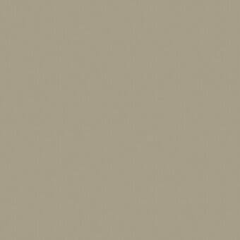 Saddle leather texture sample, col. 250, warm gray tone, matte finish, fine grain, smooth consistent surface, diffused lighting.