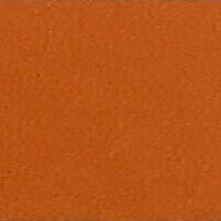 Leather swatch terracotta, rectangular shape, matte texture, CPRN Homood sample cl2000 color, neutral studio presentation.